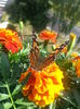 20150615_175313