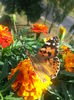 20150615_175318