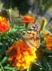 20150615_175320