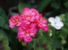DSC01687