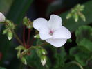 DSC01689