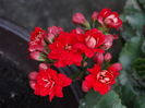 DSC01679