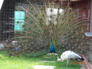 DSC01308