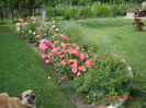 DSC00015