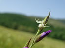 DSC01633
