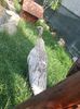 20150615_163948