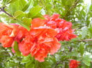 P1240730