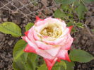 P1240738