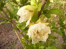 P1240740