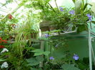 DSCN0755