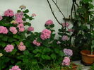 DSCN0760