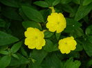 DSCN0764