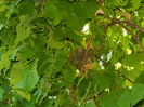 DSCN0773