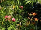DSCN0812