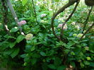 DSCN0815