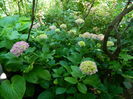DSCN0816