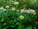 DSCN0817