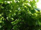 DSCN0821