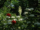 DSCN0823