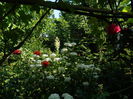 DSCN0824