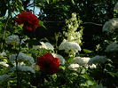 DSCN0826