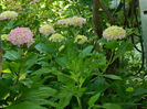DSCN0828