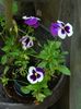 DSCN0838