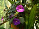 DSCN0839