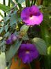 DSCN0840