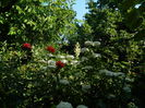 DSCN0844