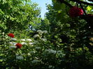 DSCN0845