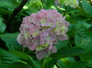 DSCN0846
