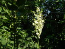 DSCN0847