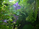 DSCN0849