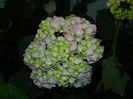 DSCN9720