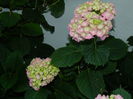 DSCN9721