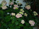 DSCN9723
