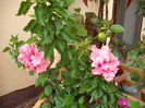 DSCF3066