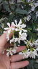 20150616_074138