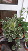 20150616_074303