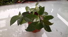 20150616_104107