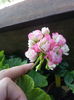 20150606_010621