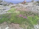 IMG_20150613_132527