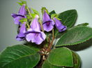 DSC01821