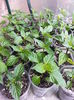 20150501_153438