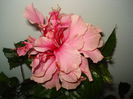 DSC01852