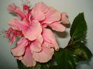 DSC01853