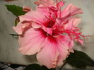 DSC01860