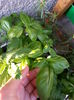 20150512_193329