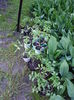 20150512_203509